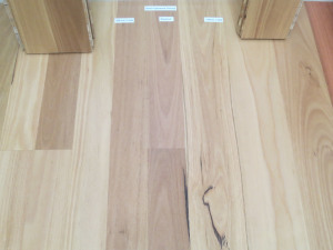 Blackbutt