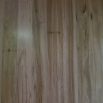 Australian Beech