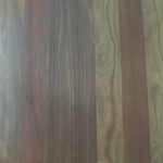QLD Spotted Gum